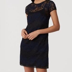 🆕 Ann Taylor Loft Blue/Black Lace Dress size 6 and size 8